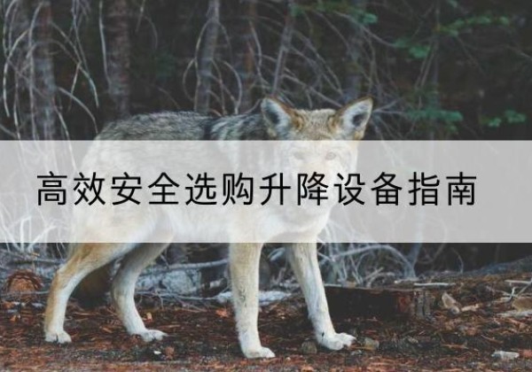 昌江升降货梯厂家推荐-*安全选购升降设备指南