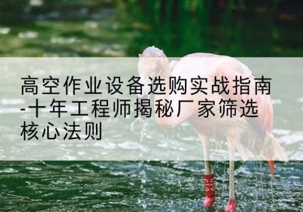 昌江剪叉式升降机厂家-高空作业设备选购实战指南-十年工程师揭秘厂家筛选核心法则